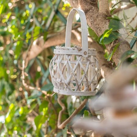 Medousa Adamantas  Ngoại thất bức ảnh